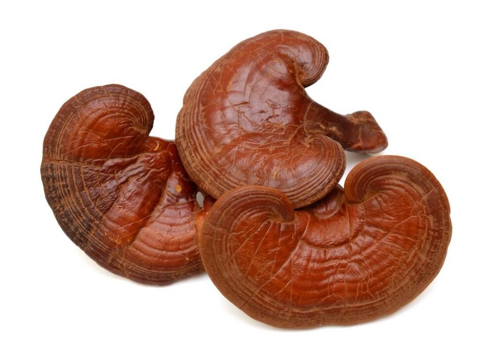 Predstonorm contiene hongos reishi