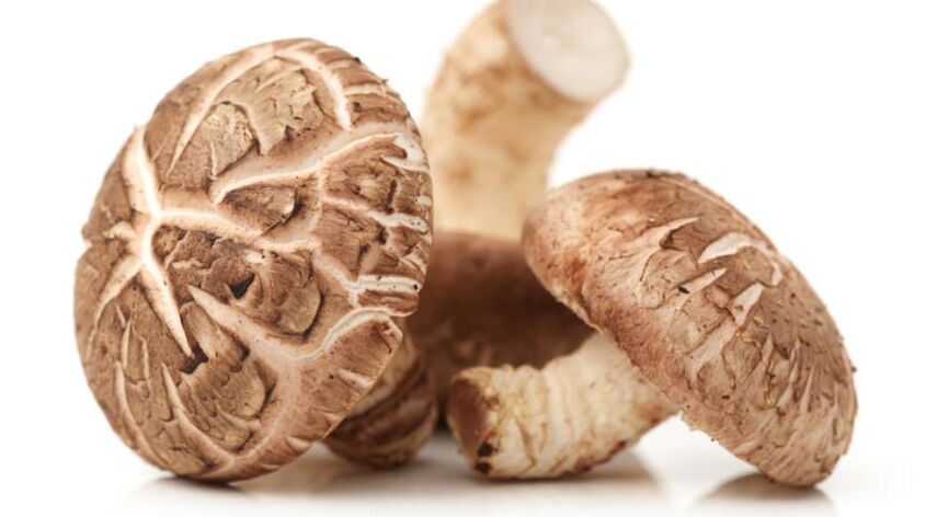 Predstonorm contiene hongos shiitake